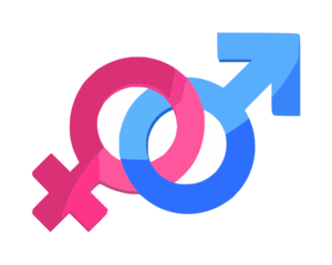 300x240 Gender Clip Art