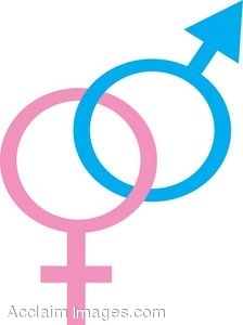 Gender Clipart | Free download on ClipArtMag