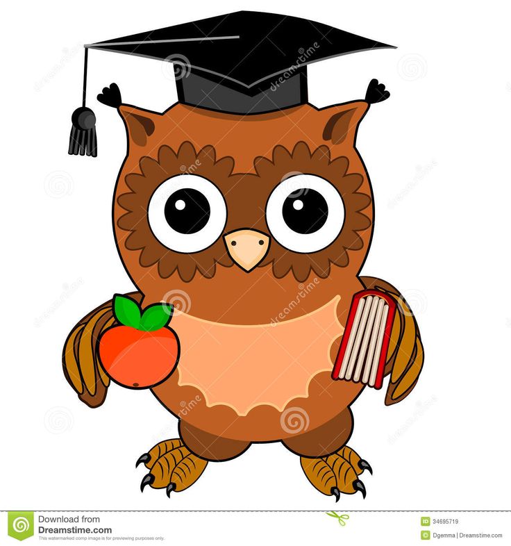 736x786 Book Clipart Cute Owl