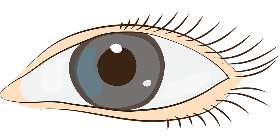 960x480 Gentle Eyes Clip Art Cliparts