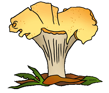 360x307 Free Biology Clip Art By Phillip Martin