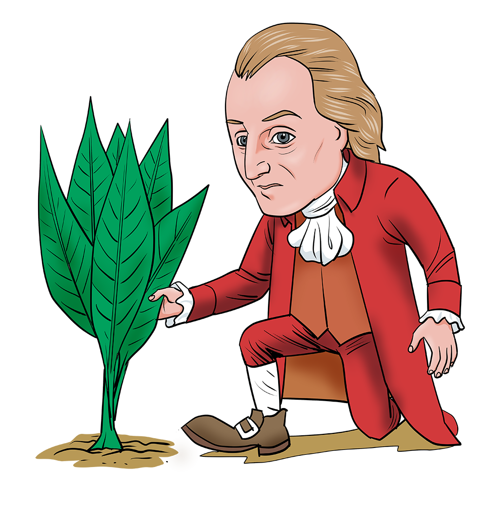 1000x1043 George Washington Clip Art Indians Cliparts