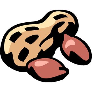 325x325 Peanut Clipart Georgia
