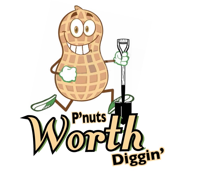 732x599 Peanut Clipart Georgia