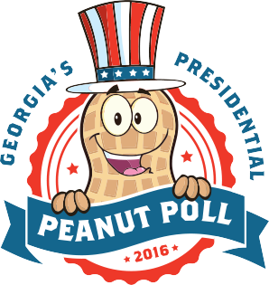 298x315 Peanut Clipart Georgia