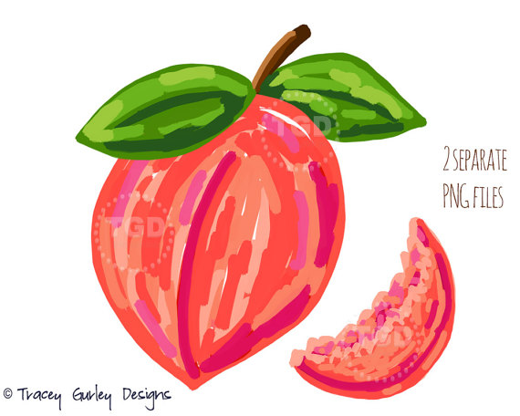 570x456 Peach Clip Art, Fruit Clipart, Fruit Slices, Georgia Peach