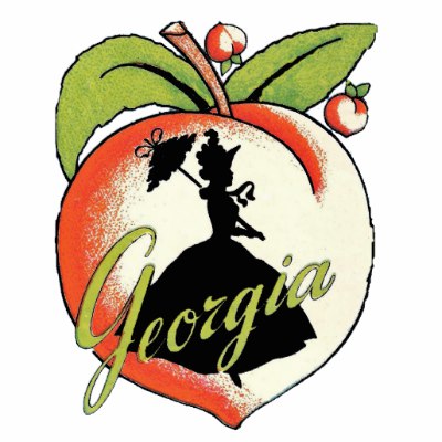 400x400 Umbrella Thorn Acacia Tree Cutout