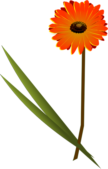 378x594 Gerbera Clip Art