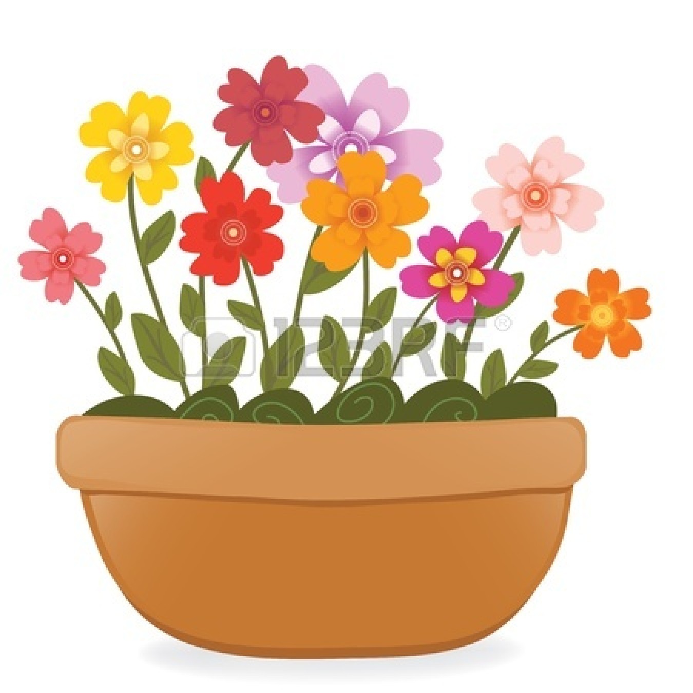 1350x1350 Pot Daisy Clipart, Explore Pictures