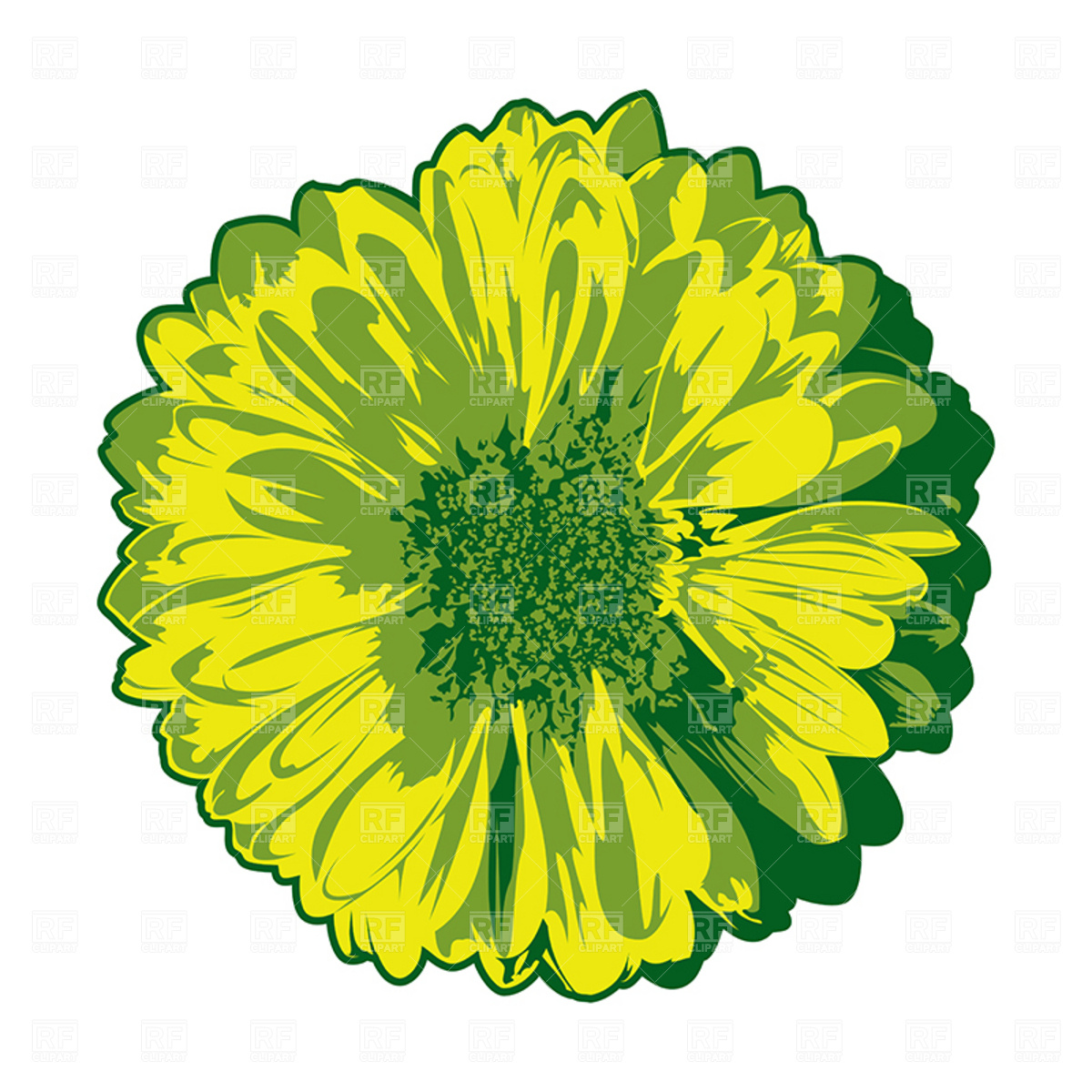 1200x1200 Yellow Gerbera Clip Art Cliparts