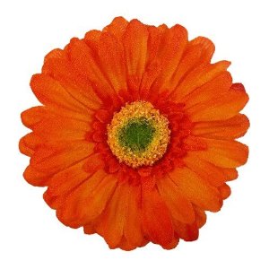 300x300 Daisy Clipart Gerbera Daisy