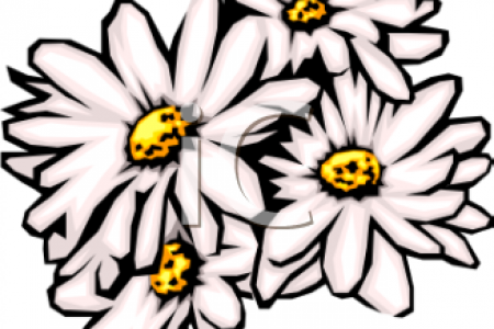 450x300 Daisy Clip Art Related Keywords Amp Suggestions White Daisy Clip Art