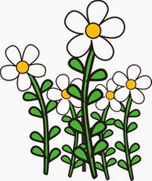 506x600 Garden Daisy Clipart, Explore Pictures