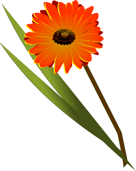 474x596 Gerbera Clip Art