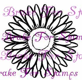 280x271 Gerbera Daisy