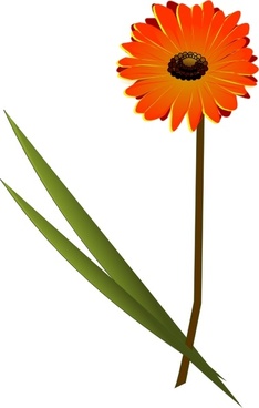 234x368 Gerbera Free Vector Download (19 Free Vector) For Commercial Use