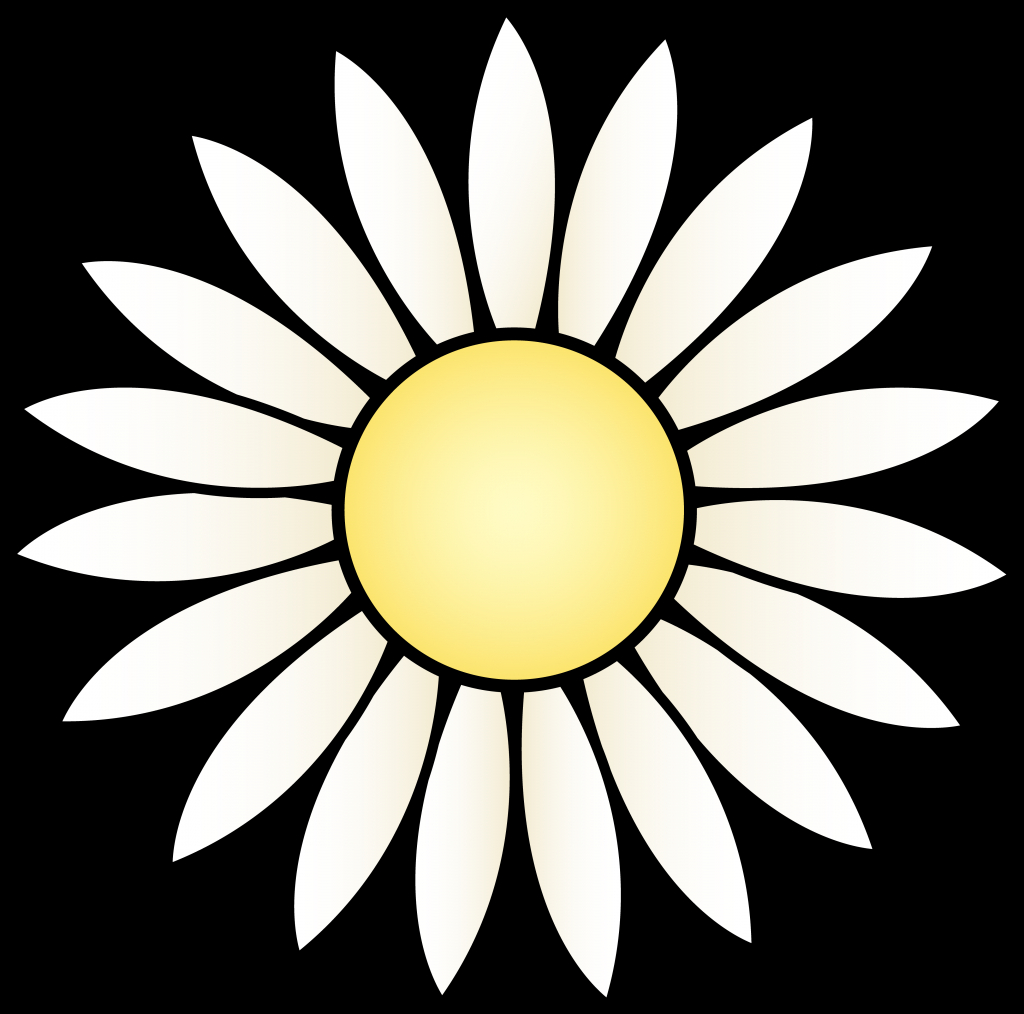 1024x1014 Simple Daisy Drawing Simple Gerbera Daisy Drawing Google Search