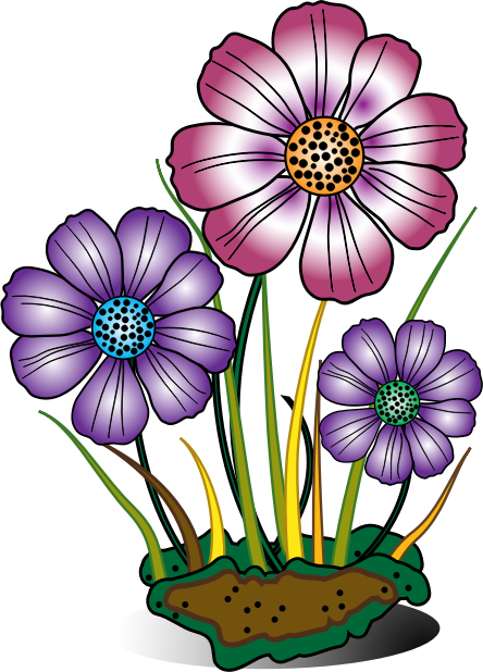 444x618 Bloom Daisy Clipart, Explore Pictures