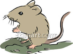 300x225 Mice Clipart Field Mouse