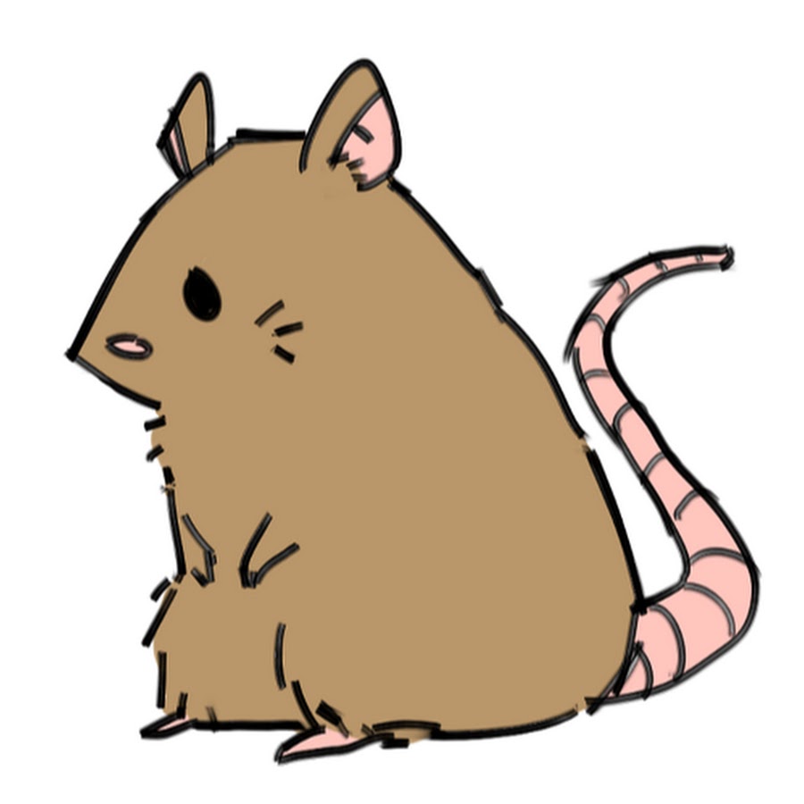 Gerbil Clipart | Free download on ClipArtMag