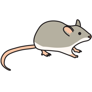 300x300 Top 94 Gerbil Clipart