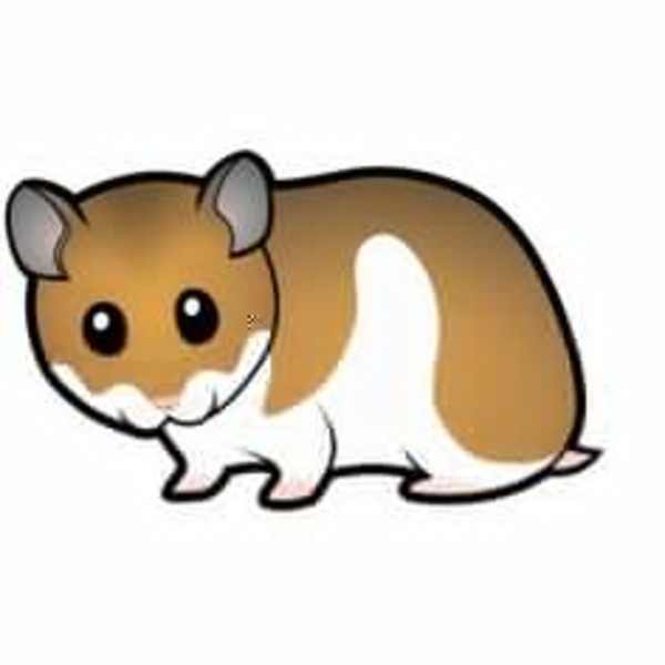 600x600 Animated Gerbil Clipart Free Images