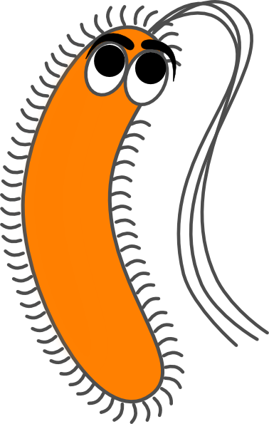 378x595 Modified Funny Bacteria Clip Art