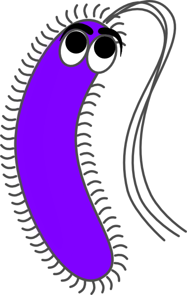 378x595 Bacteria Funny Clip Art