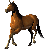 200x200 Download Horse Free Png Photo Images And Clipart Freepngimg