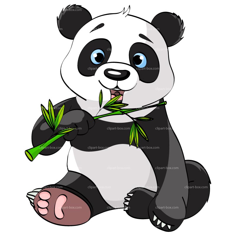 800x800 Panda Bear Clip Art