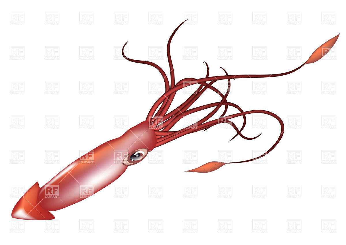 1200x849 Giant Squid Clipart