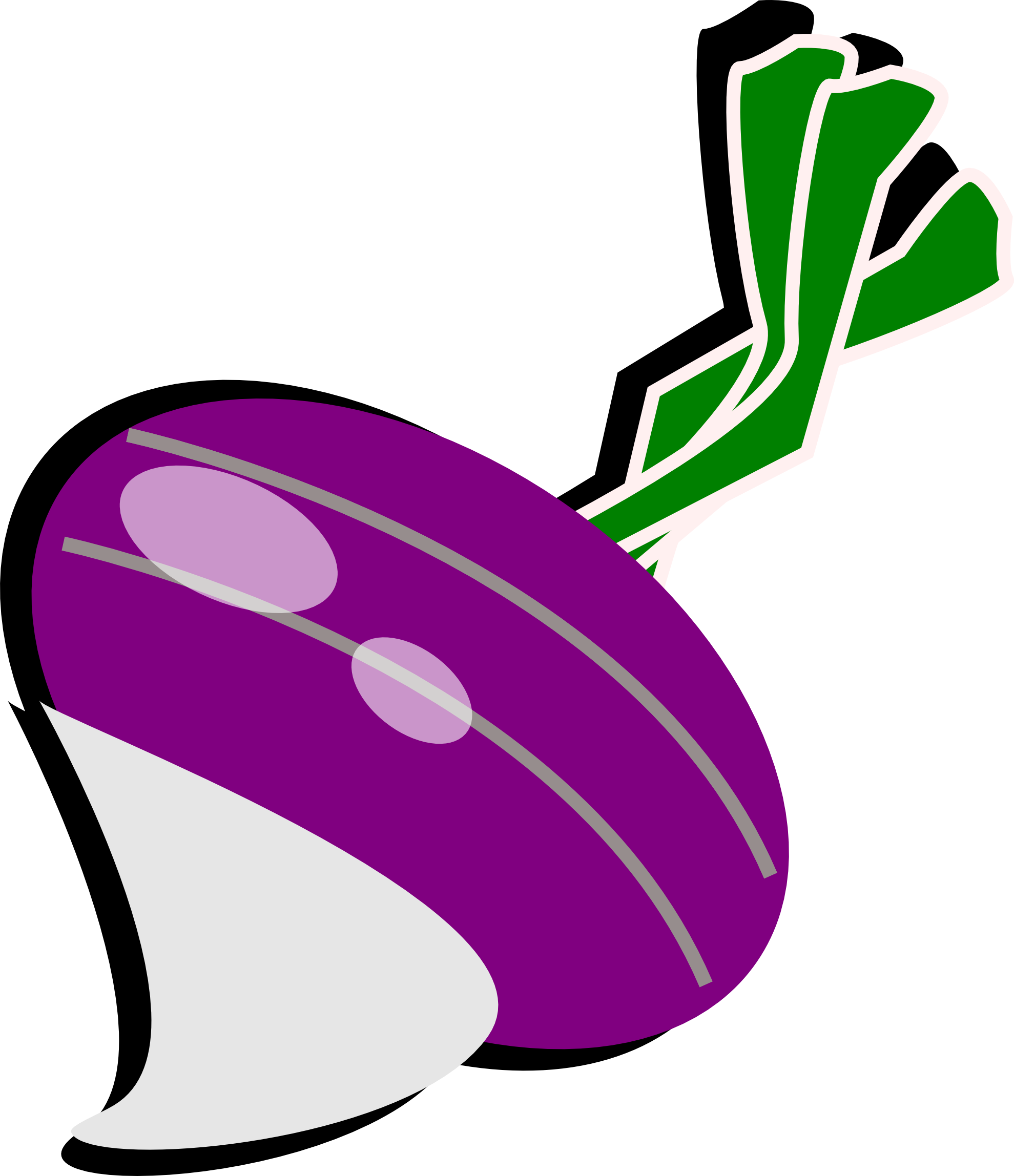 1979x2296 Giant Clipart Turnip