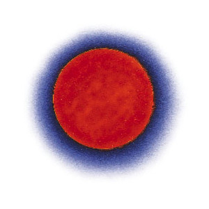 300x300 Red Giant Cliparts 250018