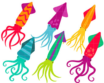 340x270 Squid Drawing Etsy