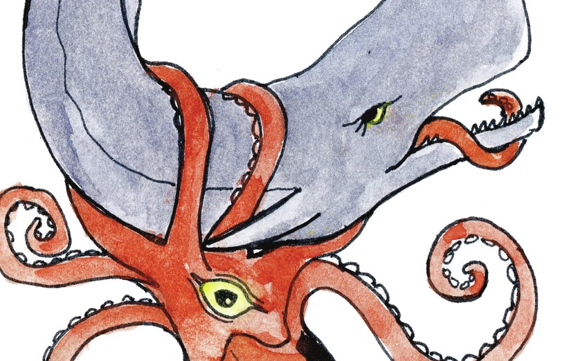 835x522 Whale And Squid By Red Balloon Art On Storybird