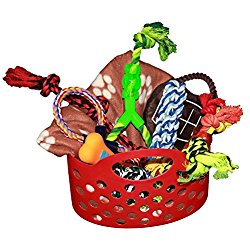 250x250 Great Gifts For Dog Lovers Dog Gift Baskets