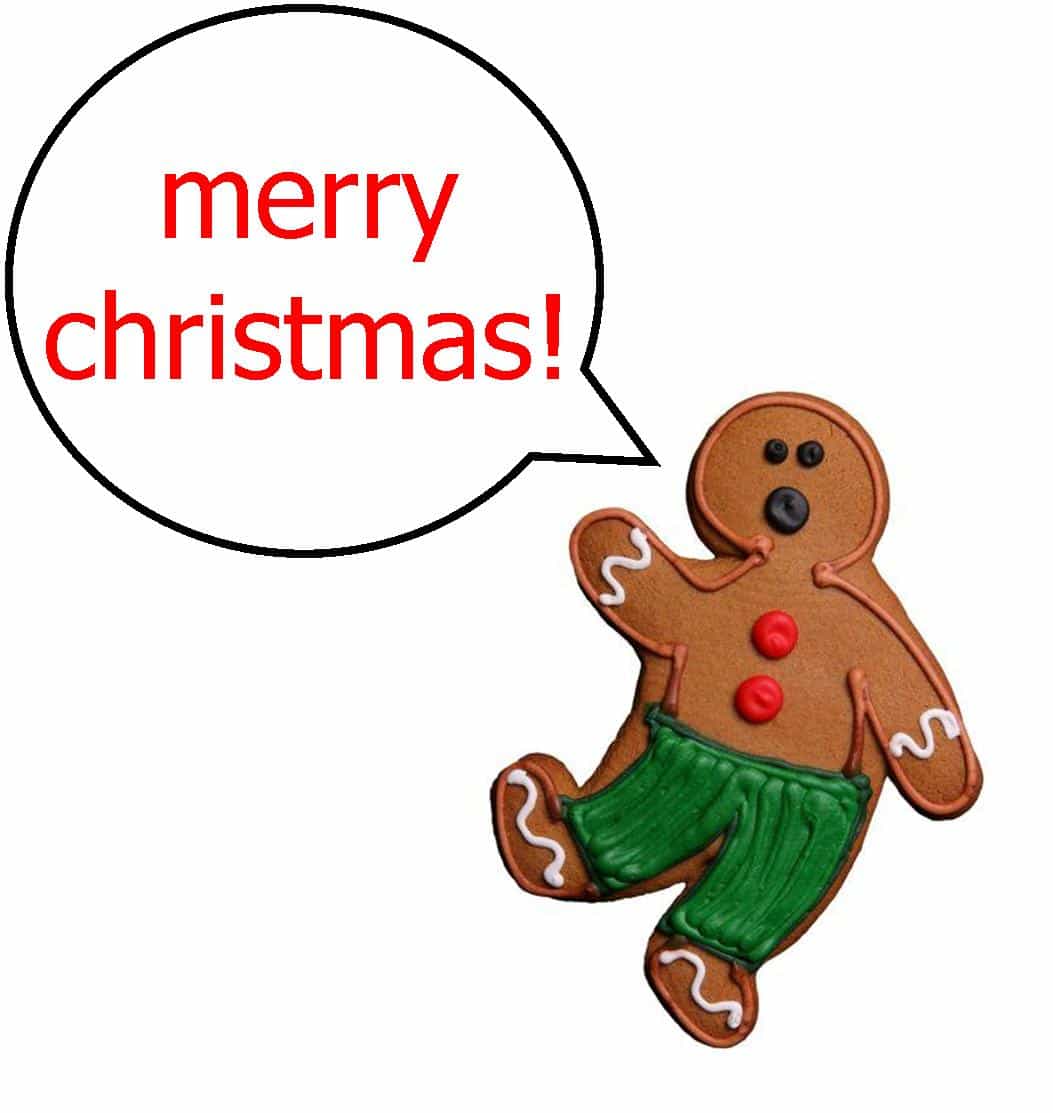 1053x1113 Mr. Gingerbread Man Has Something To Say
