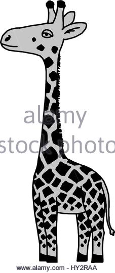 227x540 Cartoon Giraffe Black And White Stock Photos Amp Images