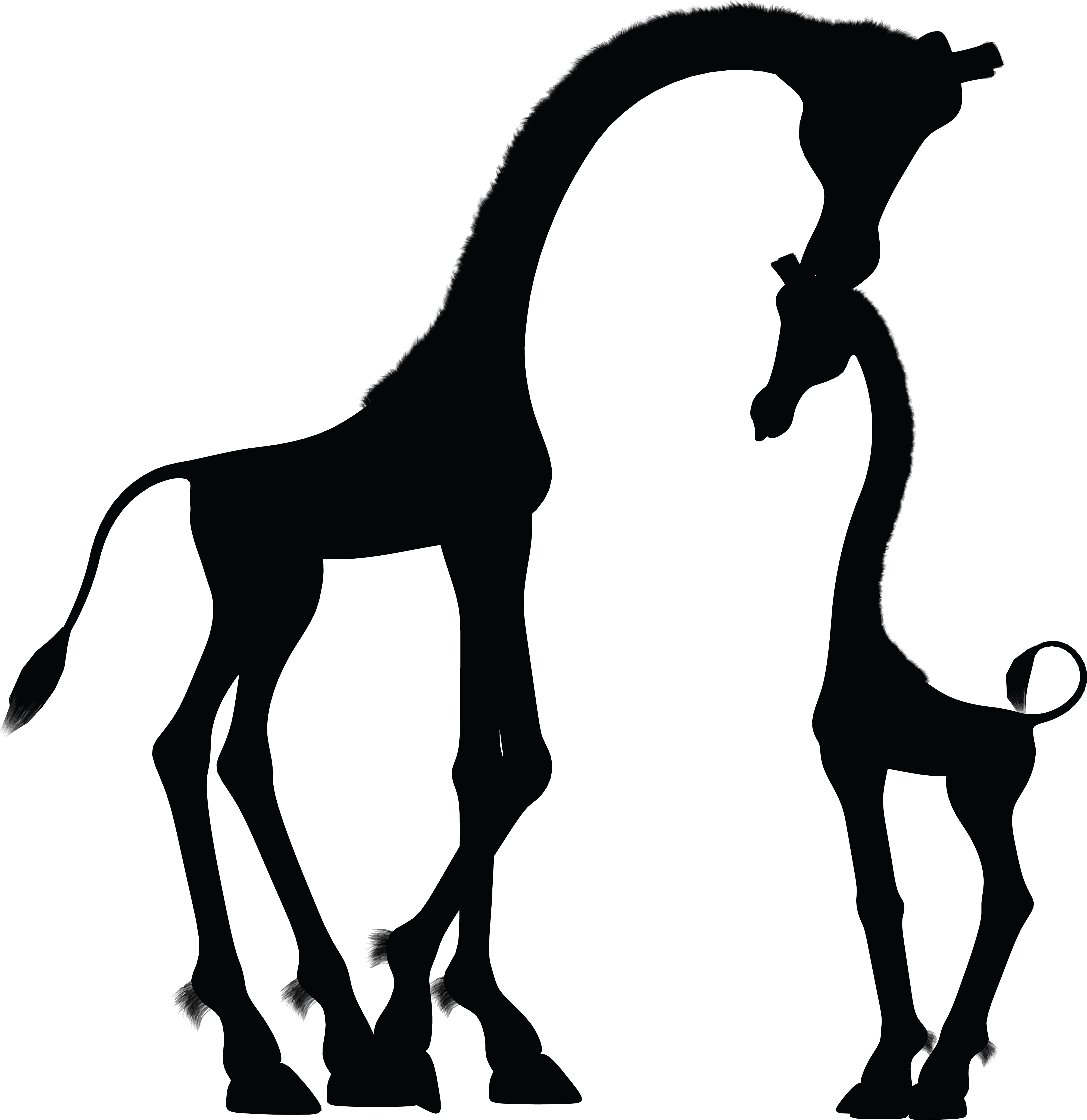 4000x4124 Clipart Of A Silhouetted Mother And Baby Giraffe