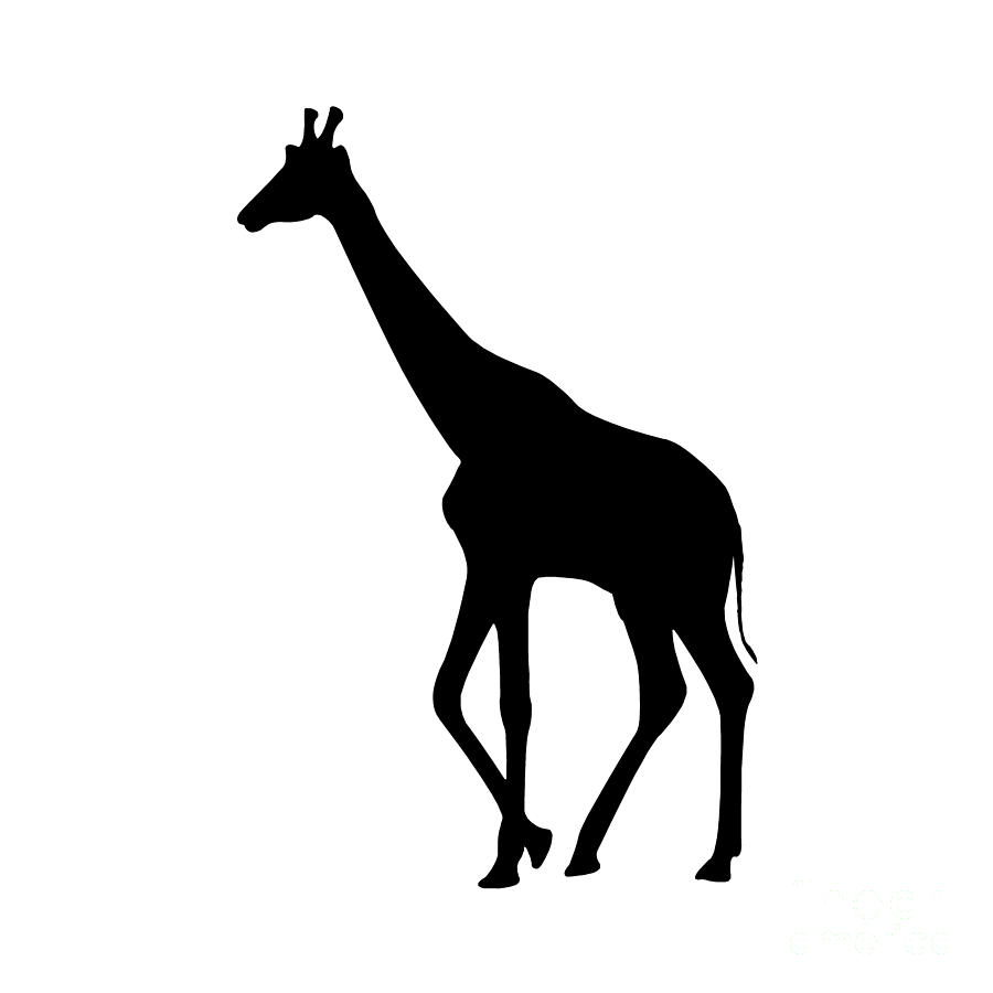 900x900 Black And White Pictures Black And White Giraffe Clipart Zwart