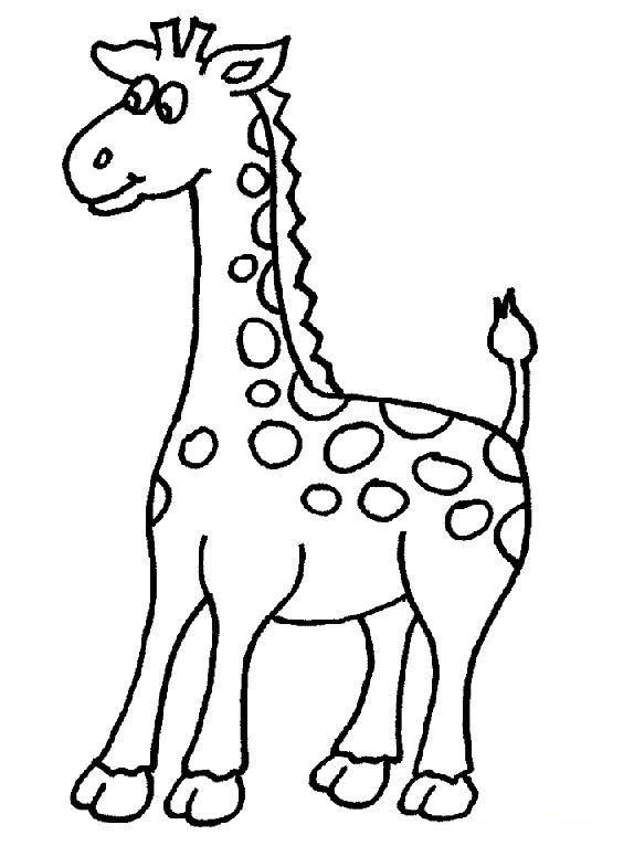 574x766 Giraffe Clipart Black And White Outline Png