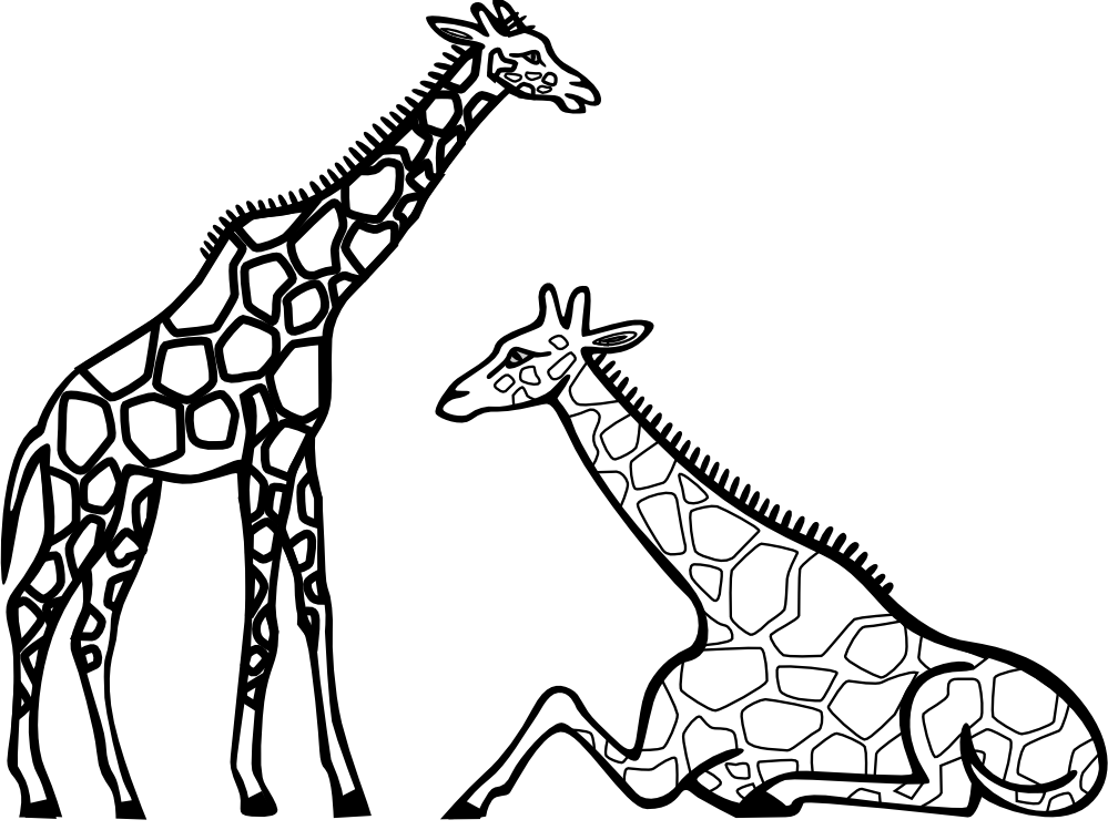 999x749 Black Amp White Clipart Giraffe