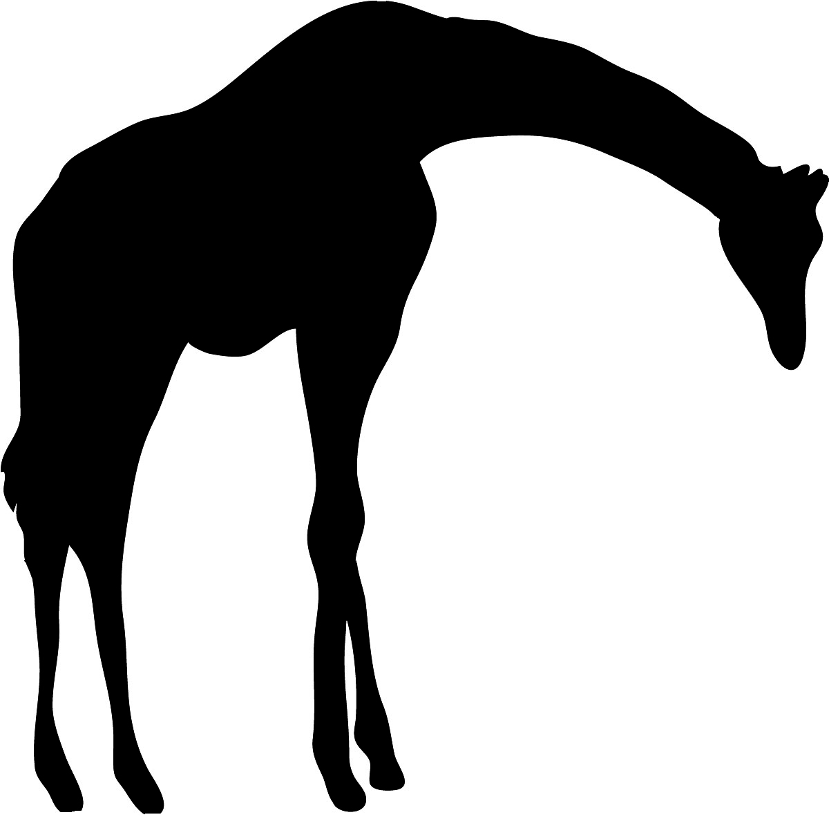 1200x1182 Best Giraffe Silhouette