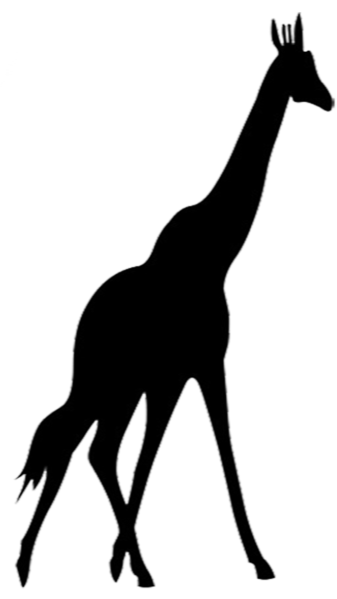 664x1181 Giraffe Clipart Shadow
