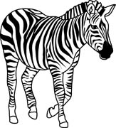 163x180 Clipart Black White Zebra Free