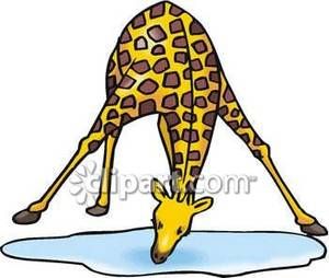 Giraffe Clipart Free