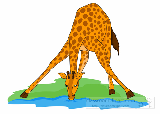 550x394 Free Giraffe Clipart