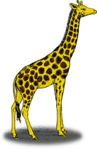 195x299 Giraffe Clip Art