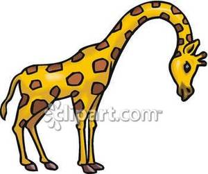 300x251 Giraffe Clipart Giraffe Neck
