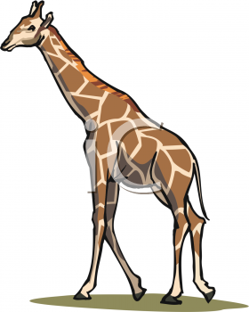 280x350 Royalty Free Giraffe Clip Art, Animal Clipart
